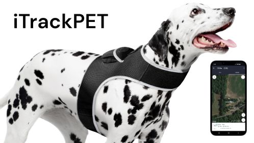 Easily Track Pet When Missing with Mini GSM GPRS Realtime Pet Tracker Size:L