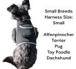 Free Phone App Pet Tracker Pocket GPS Dog Tracking System Mini Pet Tracker Size:L