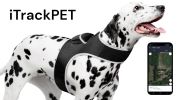 Enhanced Pocket Dog Locator Collar Tracking Device w/ Action Detector Size:L