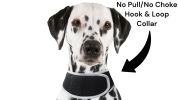 Get Detailed SMS with Small Waterproof GPRS GSM Pet Collar GPS Tracker Size:L