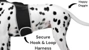 Enhanced Pocket Dog Locator Collar Tracking Device w/ Action Detector Size:L