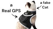 Adjustable Collar Mount Waterproof GPS Tracker for Pets GSM Dog Finder Size:L