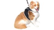 Adjustable Collar Mount Waterproof GPS Tracker for Pets GSM Dog Finder Size:L