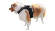 Adjustable Collar Mount Waterproof GPS Tracker for Pets GSM Dog Finder Size:L