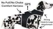 Get Accurate Pet Locations w/ Pet Tracker Realtime Dog Collar GPS Tracker Size:L