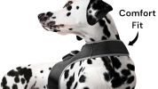 Adjustable Collar Mount Waterproof GPS Tracker for Pets GSM Dog Finder Size:L