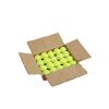 Dog Tennis Balls 20 Pack Pet Tennis Ball for Small Dogs Premium Fetch Toy Non-Toxic Non-Abrasive Material