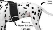 Get Accurate Pet Locations w/ Pet Tracker Realtime Dog Collar GPS Tracker Size:L