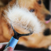 Professional Pet Tool Grooming Brush For Pet Dog Cat Deshedding Tool