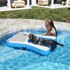 Inflatable Floating Dog Water Ramp Ladder