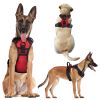 Light Up Dog Harness Rechargeable LED Dog Harness No Pull Lighted Dog Vest with Handle for Small/Medium/Large Dogs