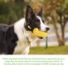 Pet Dog Toy Interactive Rubber Balls for Small Large Dogs Puppy Cat Chewing Toys Pet Tooth Cleaning Indestructible Dog Food Ball